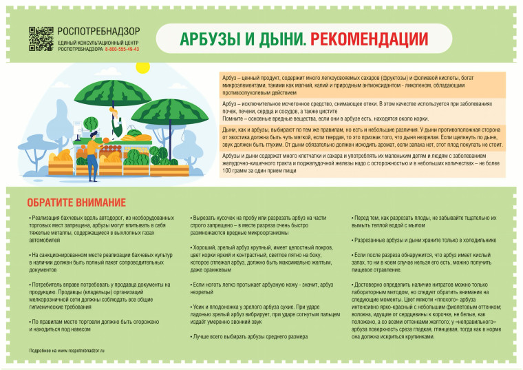 Роспотребнадзор рекомендует, как выбрать арбузы и дыни.
